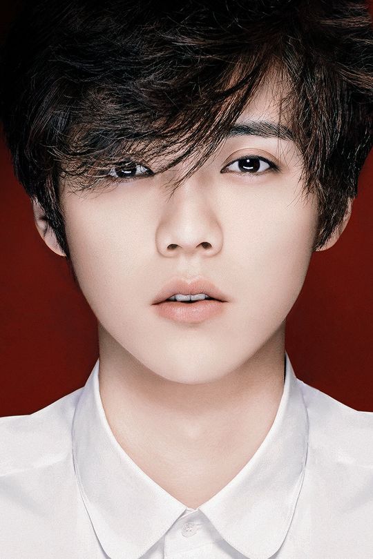 Image result for luhan 2016